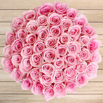 DailyBloom
